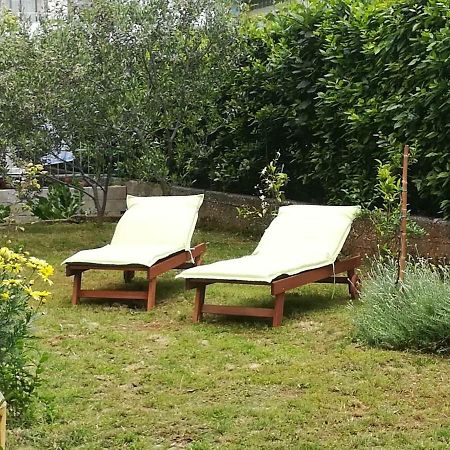 Apartment Mirana With Garden And Free Parking Zadar Extérieur photo